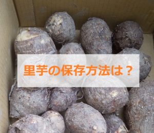 里芋の保存方法は？