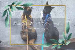 新車のお祓いで気分、一新。お祓いの意義やタイミングについて