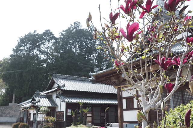 法徳寺について